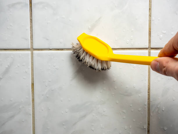 Best Certified Mold Removal  in Moon Lake, FL