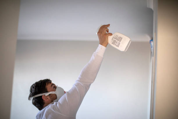 Best Crawl Space Mold Removal  in Moon Lake, FL