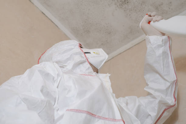 Crawl Space Mold Removal in Moon Lake, FL